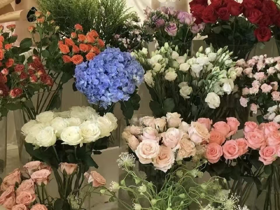 图片7.jpg